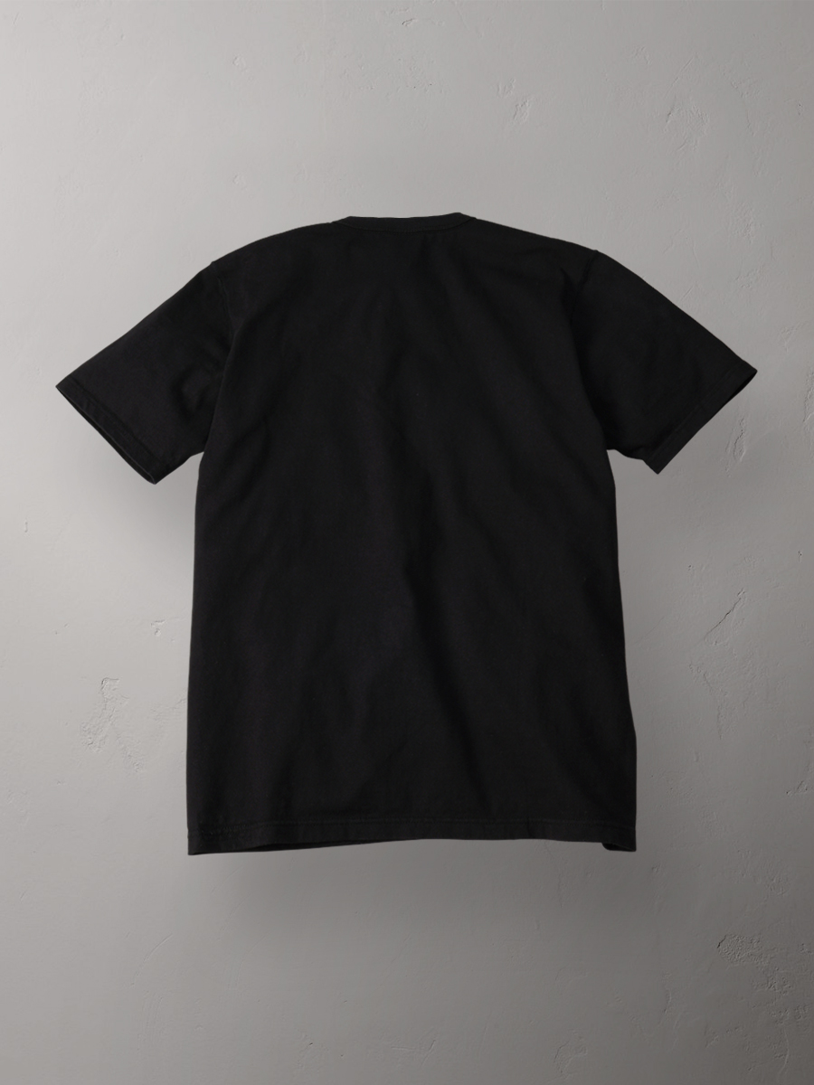 ヘンリーネックTシャツ FN-TSH-003